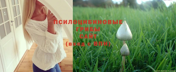 бутират Белокуриха