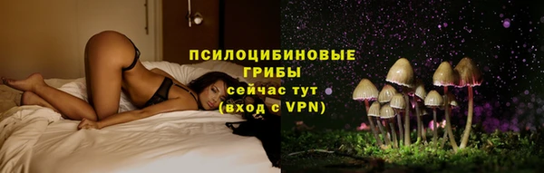 apvp Зеленокумск