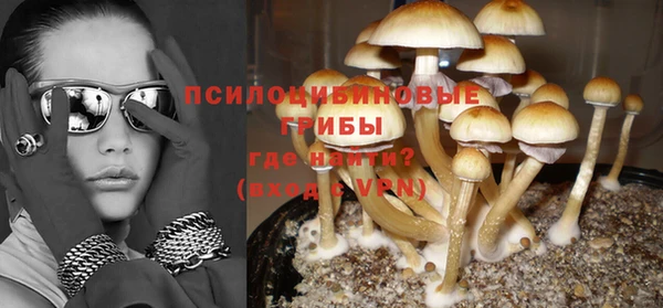 бутират Белокуриха